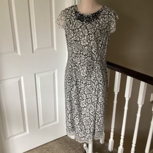 Planet lace dress from The Bay.